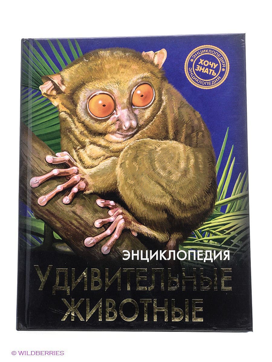 Энциклопедия. Для детей. Удивительные животные, А5, 978-5-378-25554-2